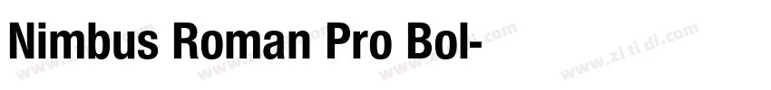 Nimbus Roman Pro Bol字体转换 Nimbus Roman Pro Bol字体转换